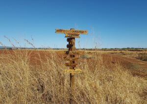 Freiwilligenarbeit Südafrika: MRDP-Farm